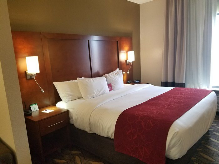 Comfort Suites — Guest room