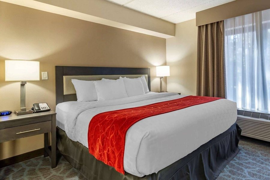 Comfort Suites Roswell — Guest room