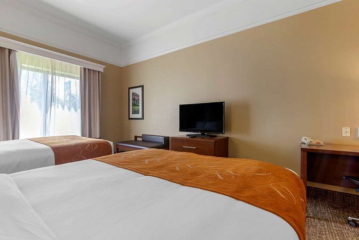 Comfort Suites Savannah North — Guest room