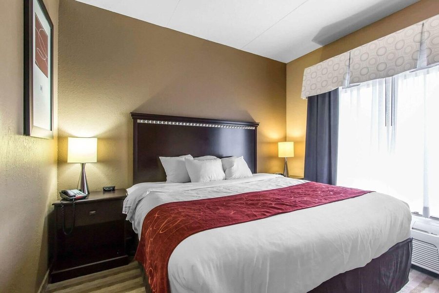Comfort Suites Smyrna — Guest room
