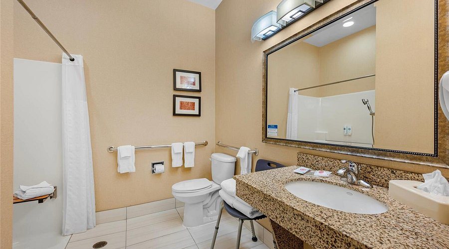 Comfort Suites South Haven Near I 96 — Bathroom