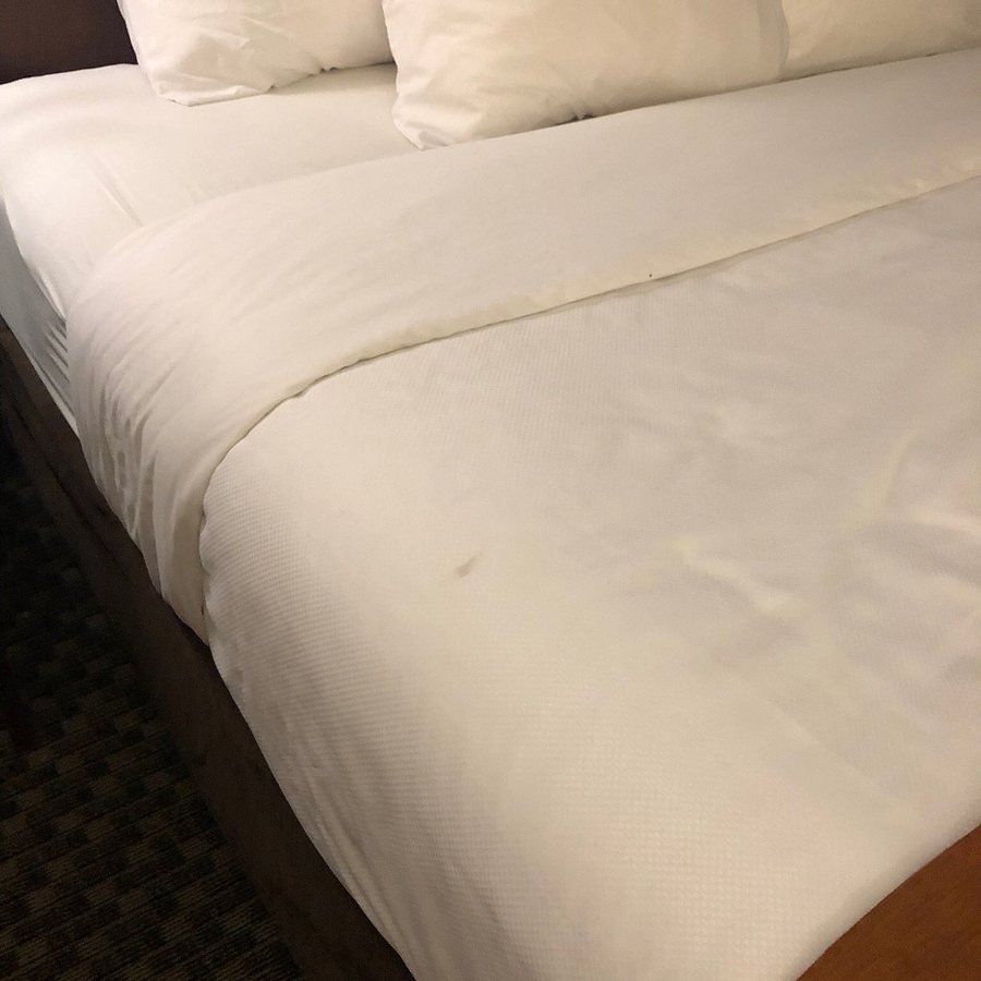 Comfort Suites South Haven Near I 96 — Guest room