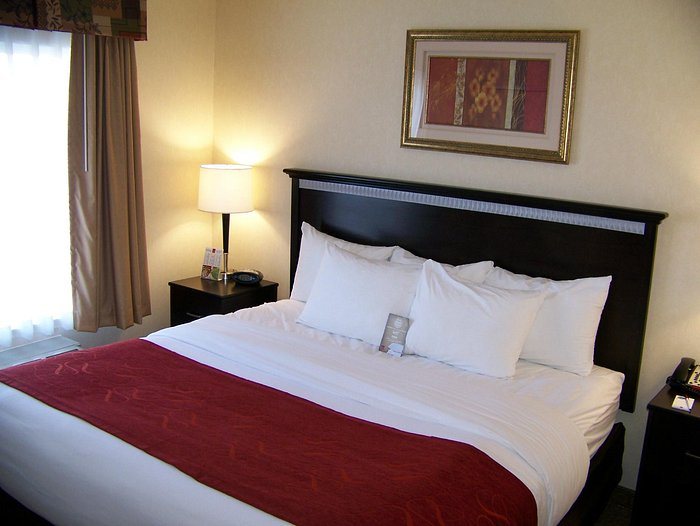 Comfort Suites Southport — Guest room