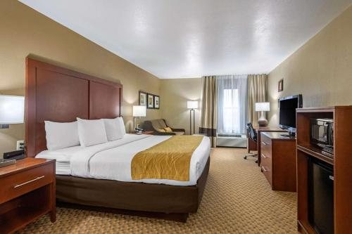 Comfort Suites Springfield RiverBend Medical — Guest room