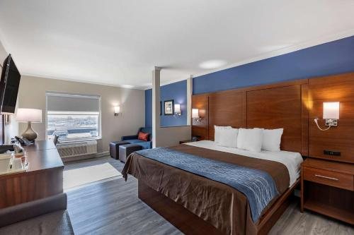 Comfort Suites St Louis Sunset Hills — Guest room