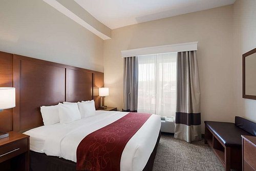 Comfort Suites Suffolk Chesapeake — Guest room
