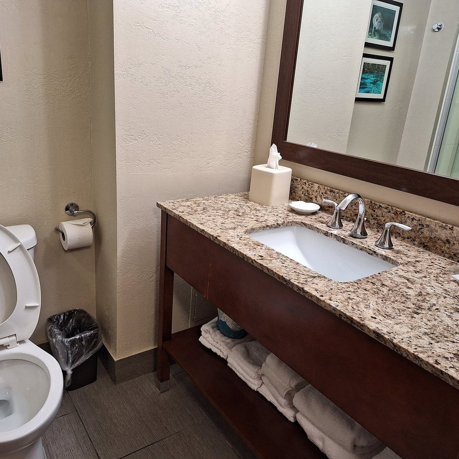Comfort Suites Tallahassee Downtown — Bathroom