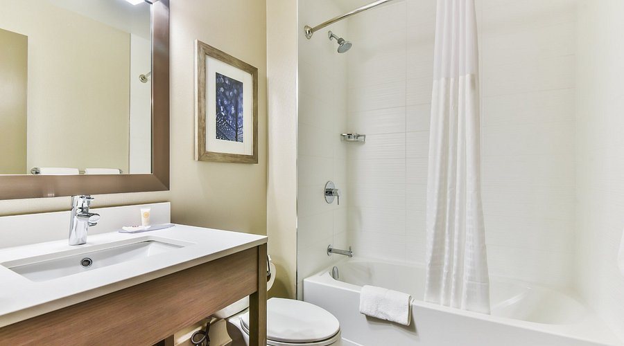 Comfort Suites Tampa Airport North — Bathroom