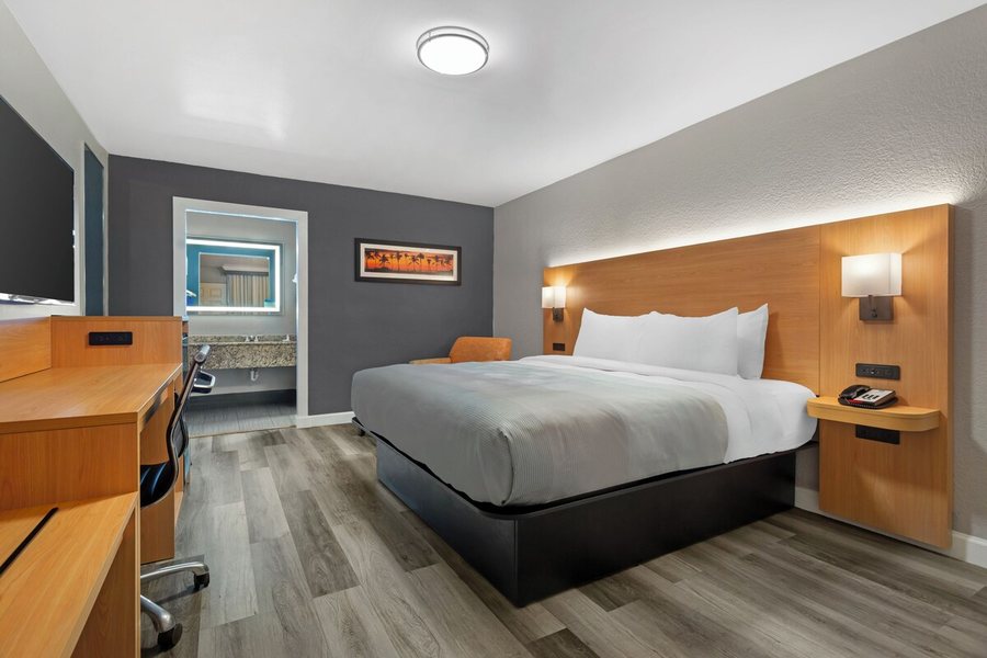 Comfort Suites Tampa Brandon — Guest room