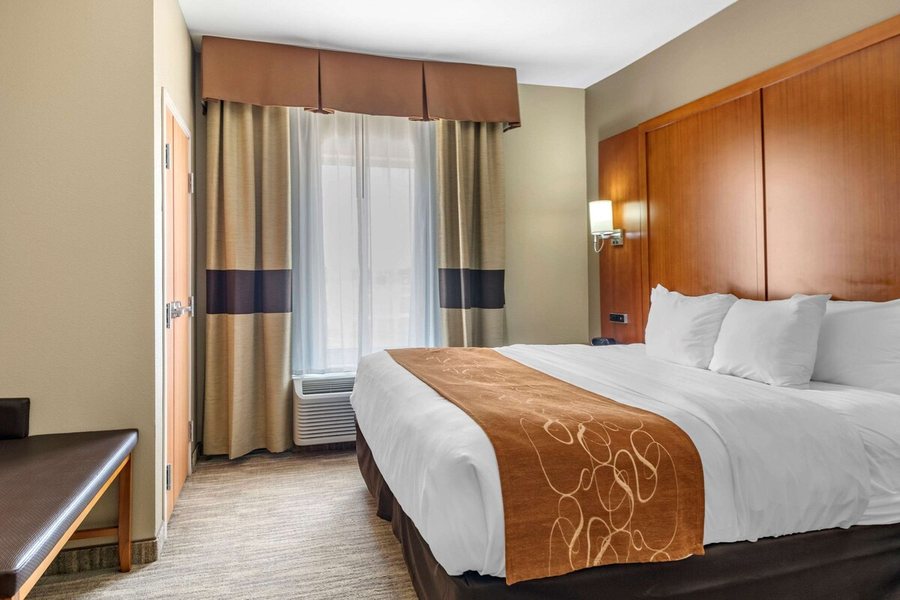 Comfort Suites University — Guest room