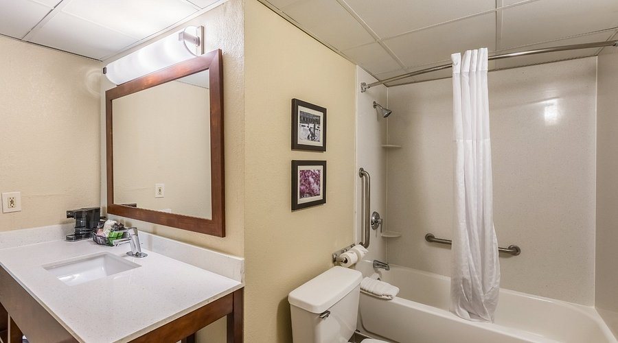 Comfort Suites University Research Park — Bathroom