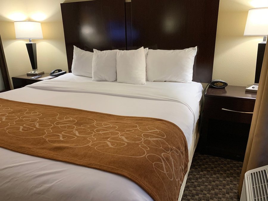 Comfort Suites West of the Ashley — Guest room