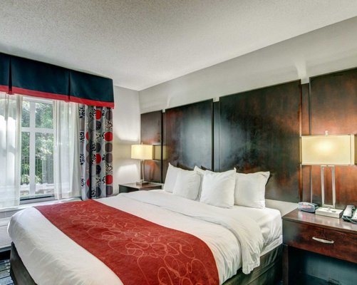Comfort Suites Williamsburg Historic Area — Guest room