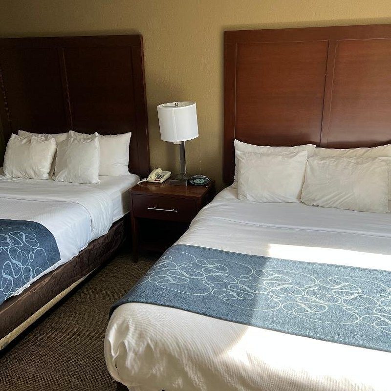 Comfort Suites Wright Patterson — Guest room
