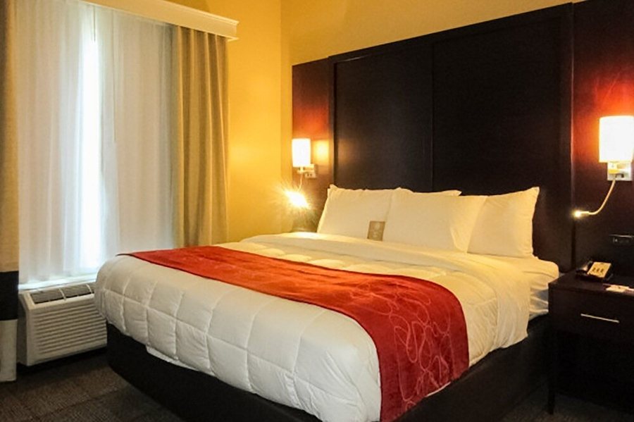 Comfort Suites Youngstown North — Guest room