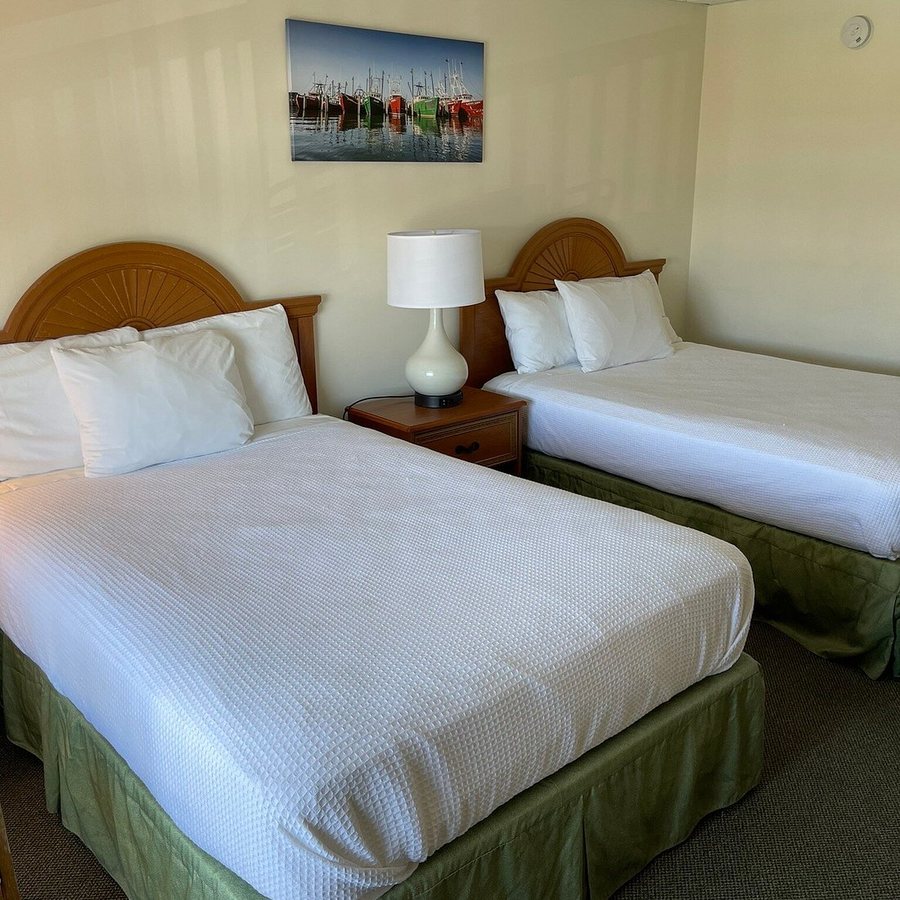Coral Seas Oceanfront Motel — Guest room