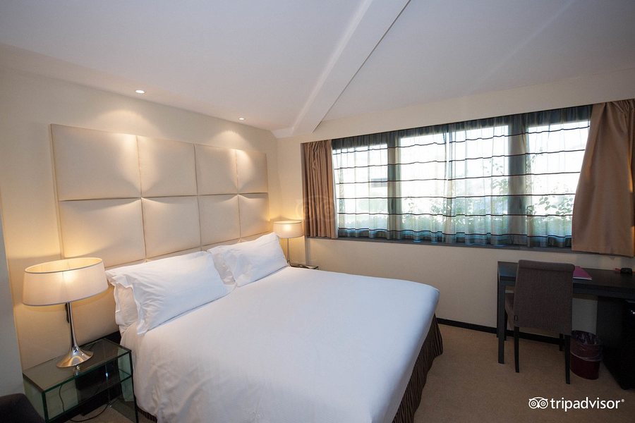 Cosmopolitan Urban Hotel Firenze — Guest room