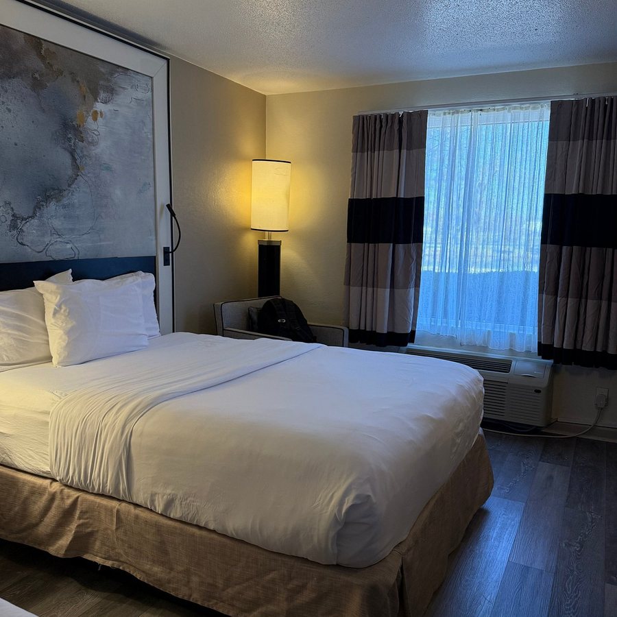 Cottonwood Suites Savannah Hotel Conference Center — Guest room
