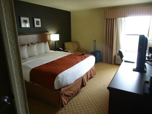 Country Inn Suites by Radisson Corpus Christi TX — Guest room