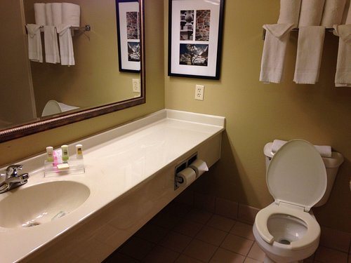 Country Inn Suites by Radisson Decatur IL — Bathroom