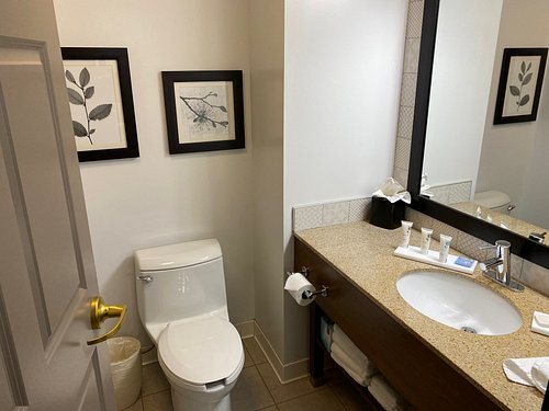 Country Inn Suites by Radisson Grand Rapids East MI Grand Rapids Kent County Michig — Bathroom