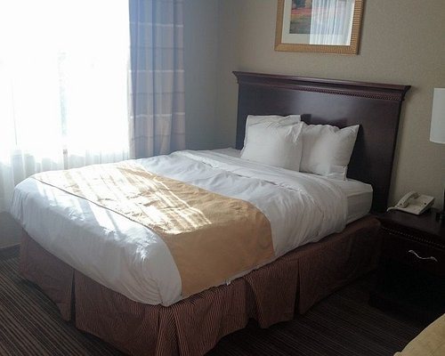 Country Inn Suites by Radisson Ithaca NY — Guest room
