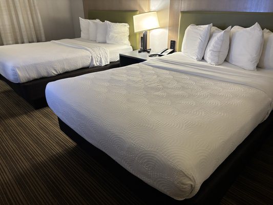 Country Inn Suites by Radisson Rapid City SD — Guest room