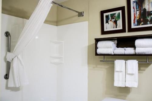 Country Inn Suites by Radisson Richmond West at I 64 VA Richmond Virginia — Bathroom
