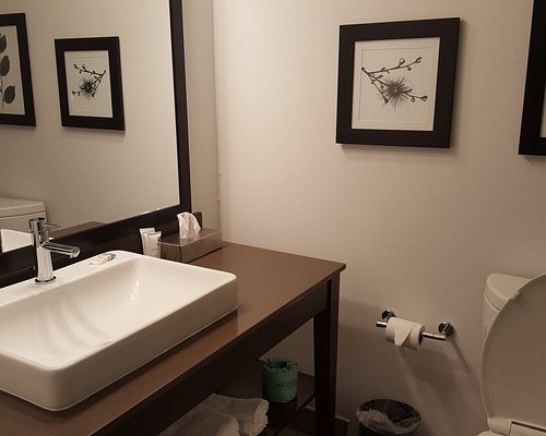 Country Inn Suites by Radisson Savannah Midtown GA — Bathroom