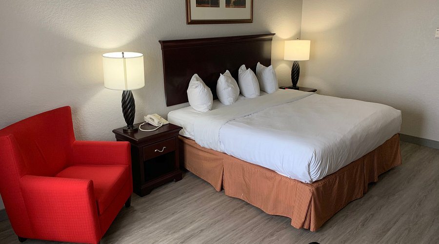 Countryside Inn and Suites — Guest room