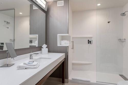 Courtyard by Marriott Asheville Biltmore Village — Bathroom