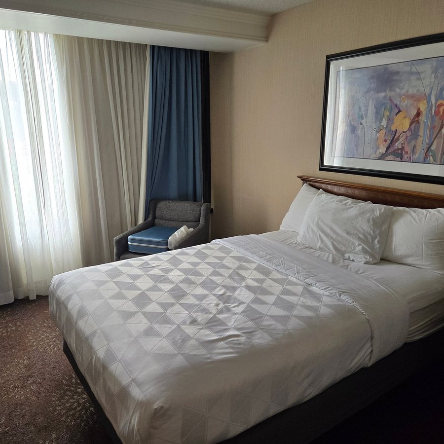 Courtyard by Marriott Buffalo Airport — Guest room