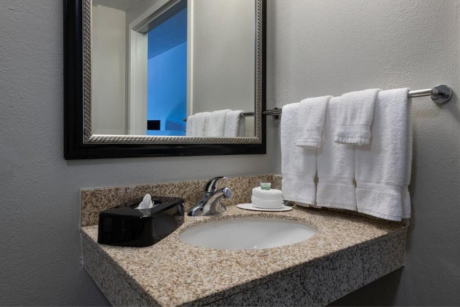 Courtyard by Marriott Dallas Arlington Entertainment District — Bathroom