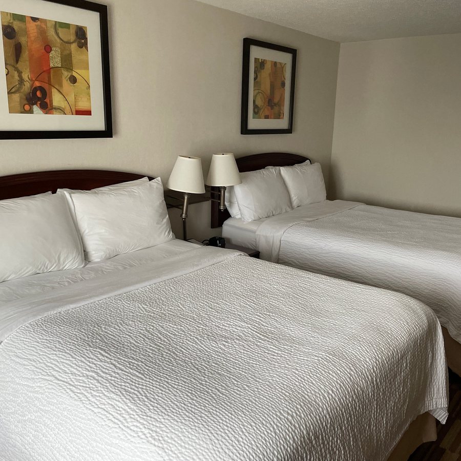 Courtyard by Marriott Denver South Park Meadows Mall — Guest room
