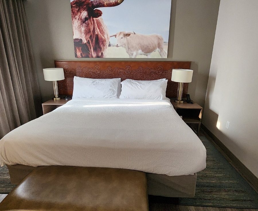 Courtyard by Marriott Fort Worth Downtown Blackstone — Guest room