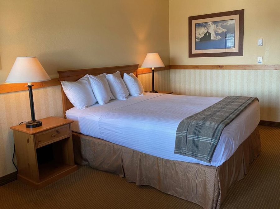 Cousin s Country Inn — Guest room