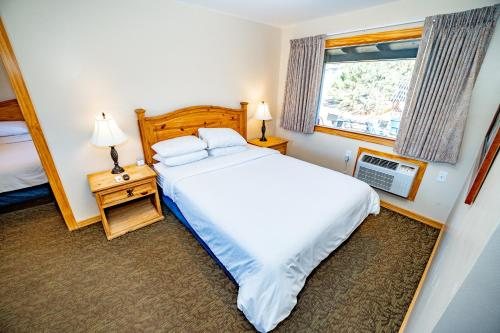 Coyote Mountain Lodge — Guest room