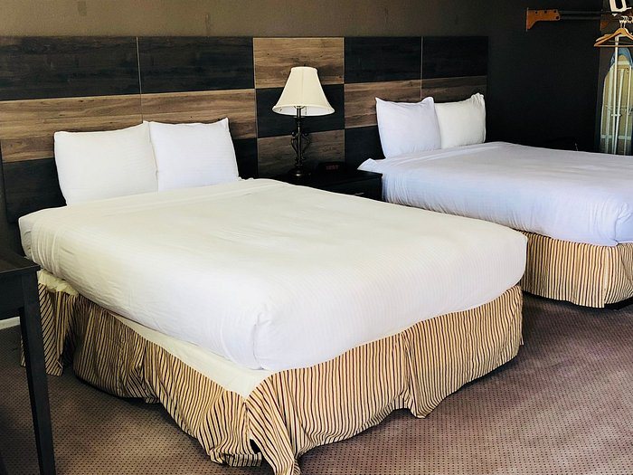 Cozy Inn Costa Mesa — Guest room
