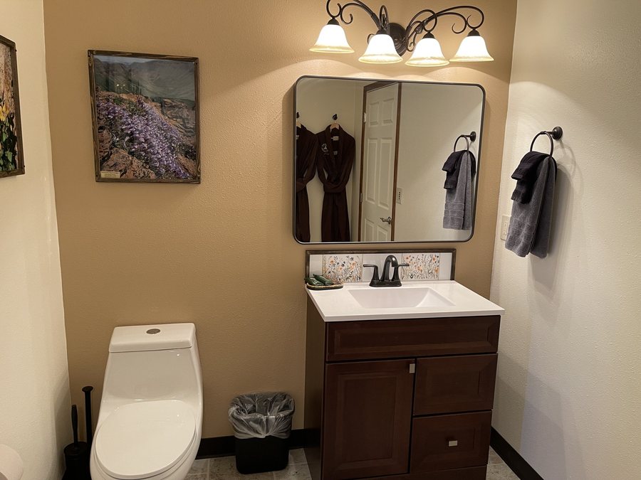 Crane Hot Springs — Bathroom