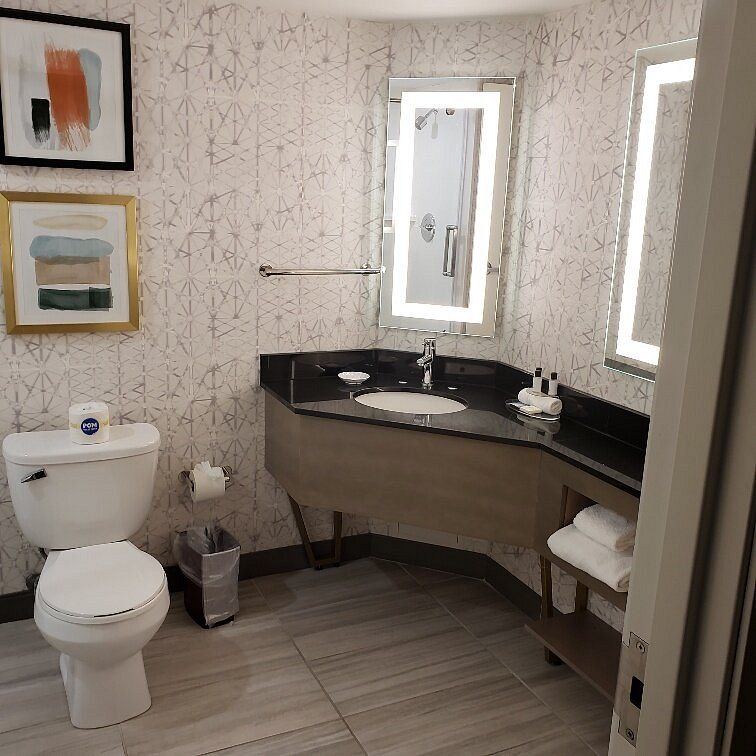 Crowne Plaza Auburn Hills by IHG — Bathroom