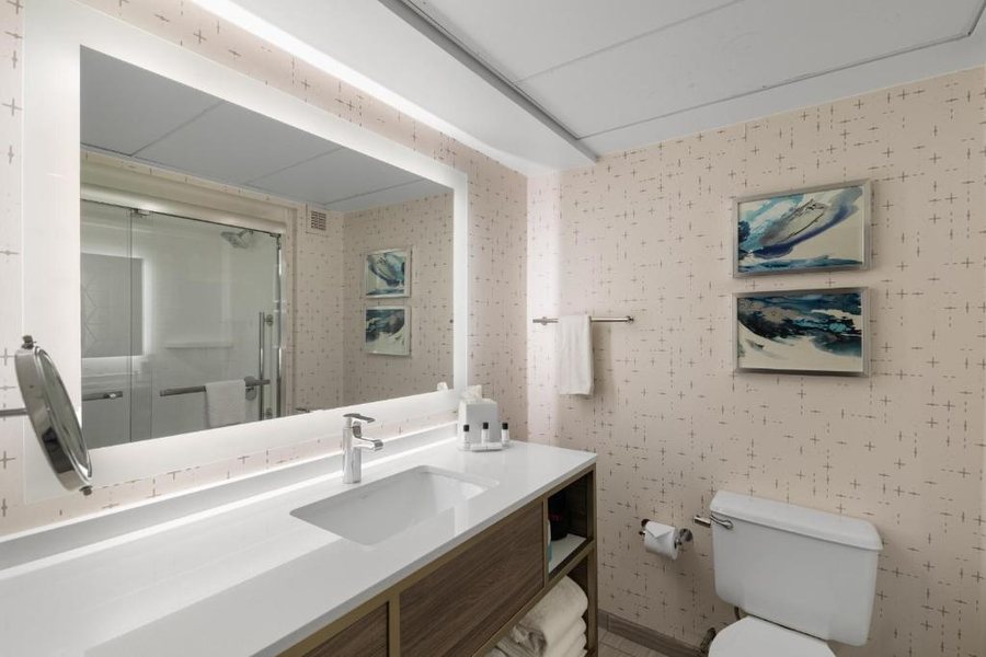 Crowne Plaza Houston Med Ctr Galleria Area by IHG — Bathroom