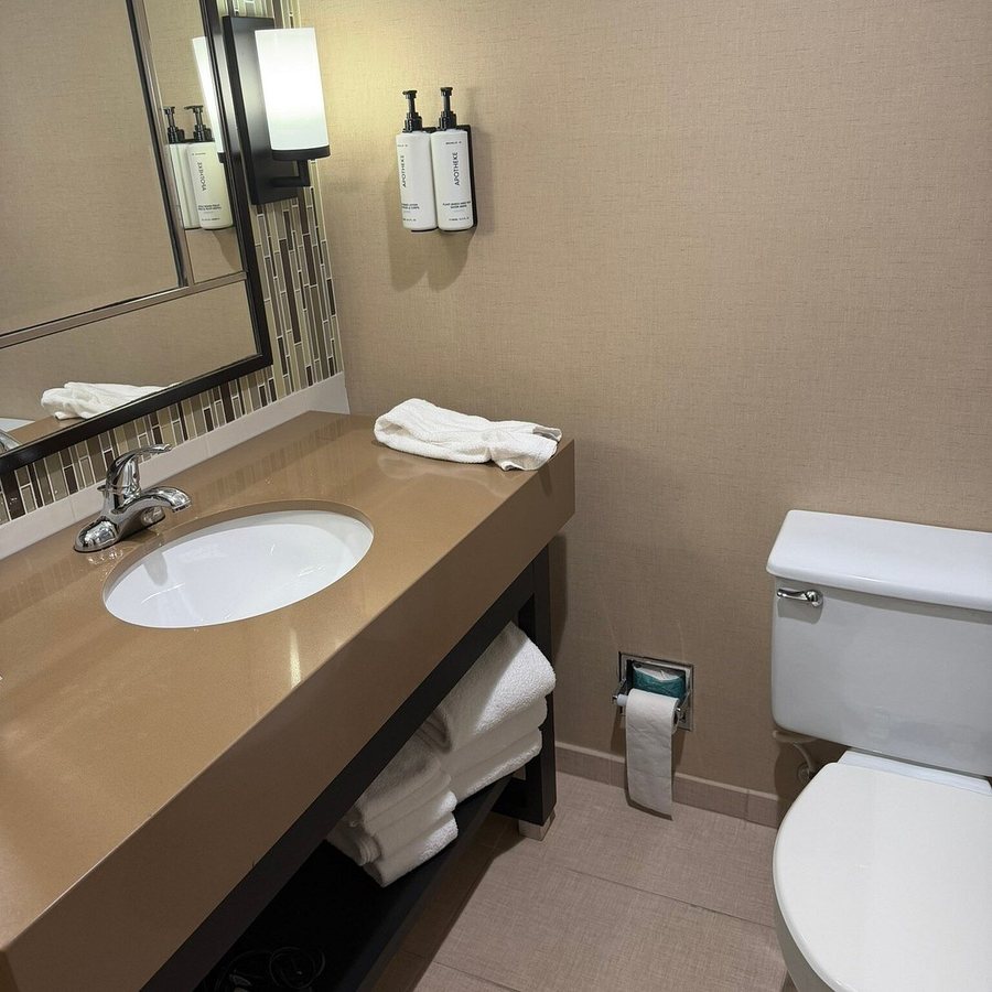Crowne Plaza Resort Asheville by IHG — Bathroom