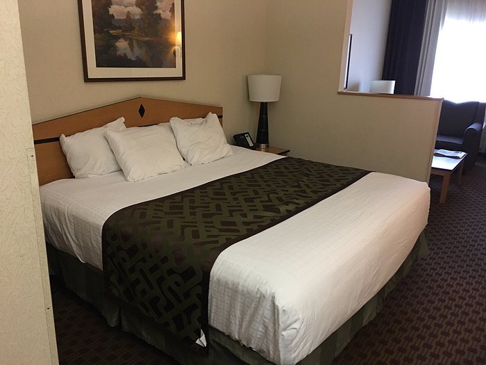 Crystal Inn Hotel Suites Great Falls — Guest room