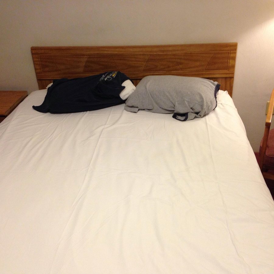 Curley s Paradise Motel — Guest room