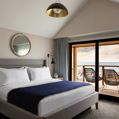 Daunt s Albatross — Guest room
