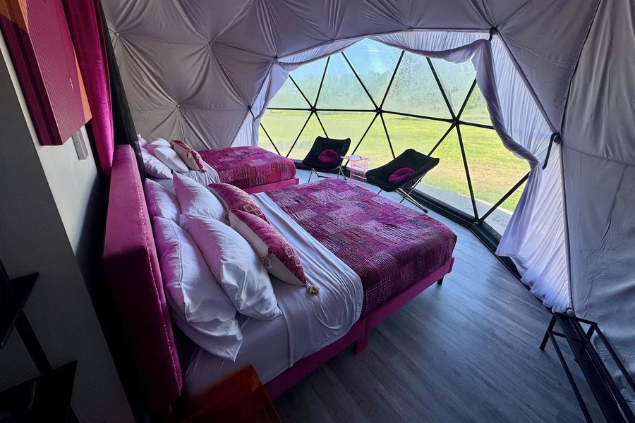 DayDreamer Domes — Guest room