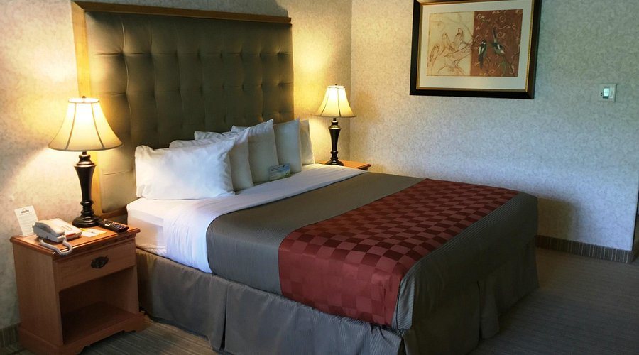 Days Inn by Wyndham Davis Near UC Davis — Guest room
