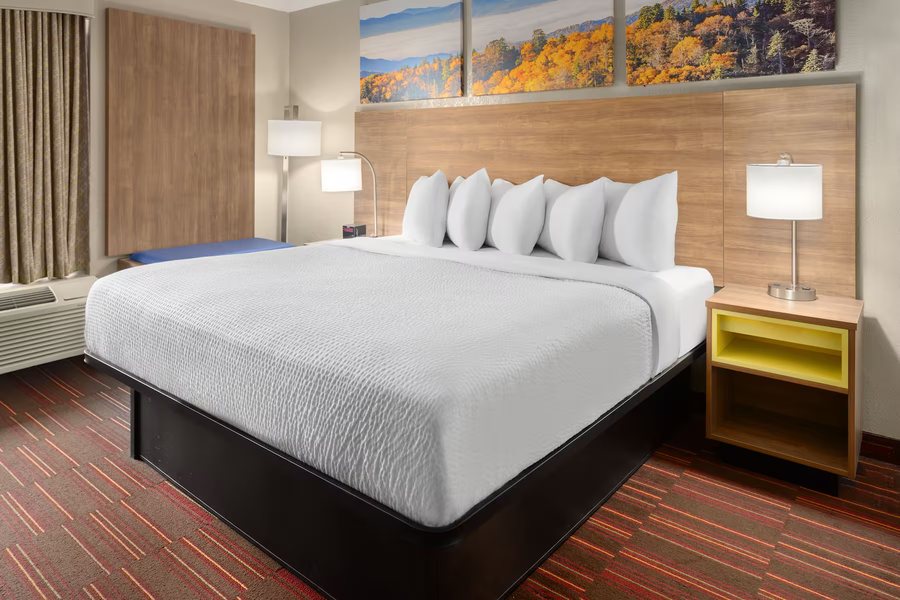 Days Inn by Wyndham Forsyth — Guest room