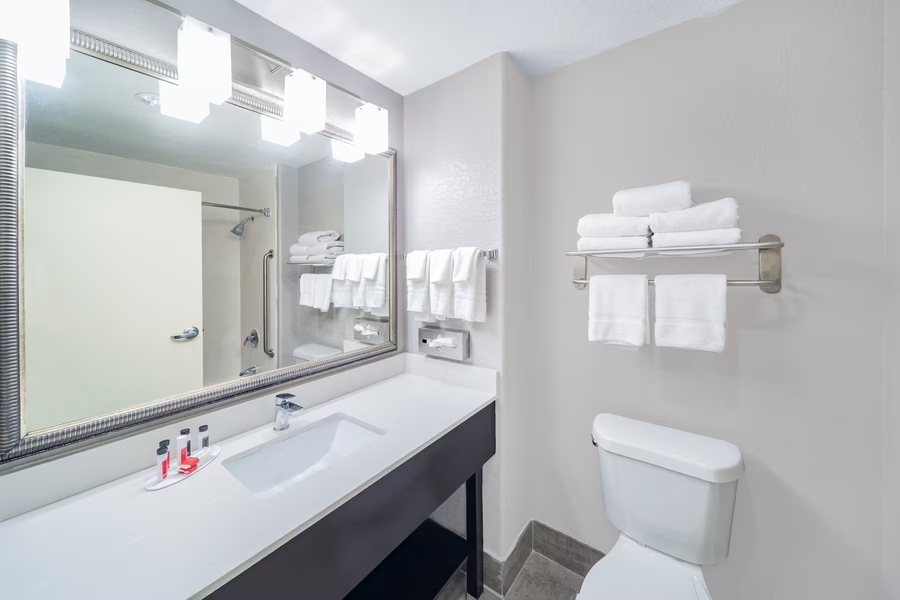 Days Inn by Wyndham San Antonio Northwest Seaworld — Bathroom
