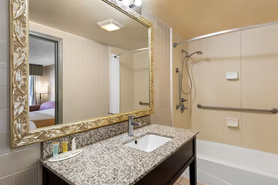 Days Inn by Wyndham St Petersburg Tampa Bay Area — Bathroom